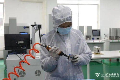 科技種子在南寧開花結果，網絡技術創新激發經濟新活力