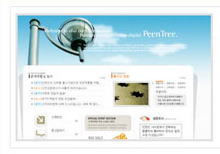 網站建設 數字時代的基石與未來航標