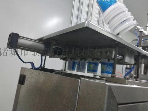 雪糕全自動灌裝封口包裝機 高效食品機械的視覺展示