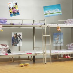 學(xué)校鐵床批發(fā)采購指南 東莞連發(fā)辦公設(shè)備廠優(yōu)惠促銷全面解析